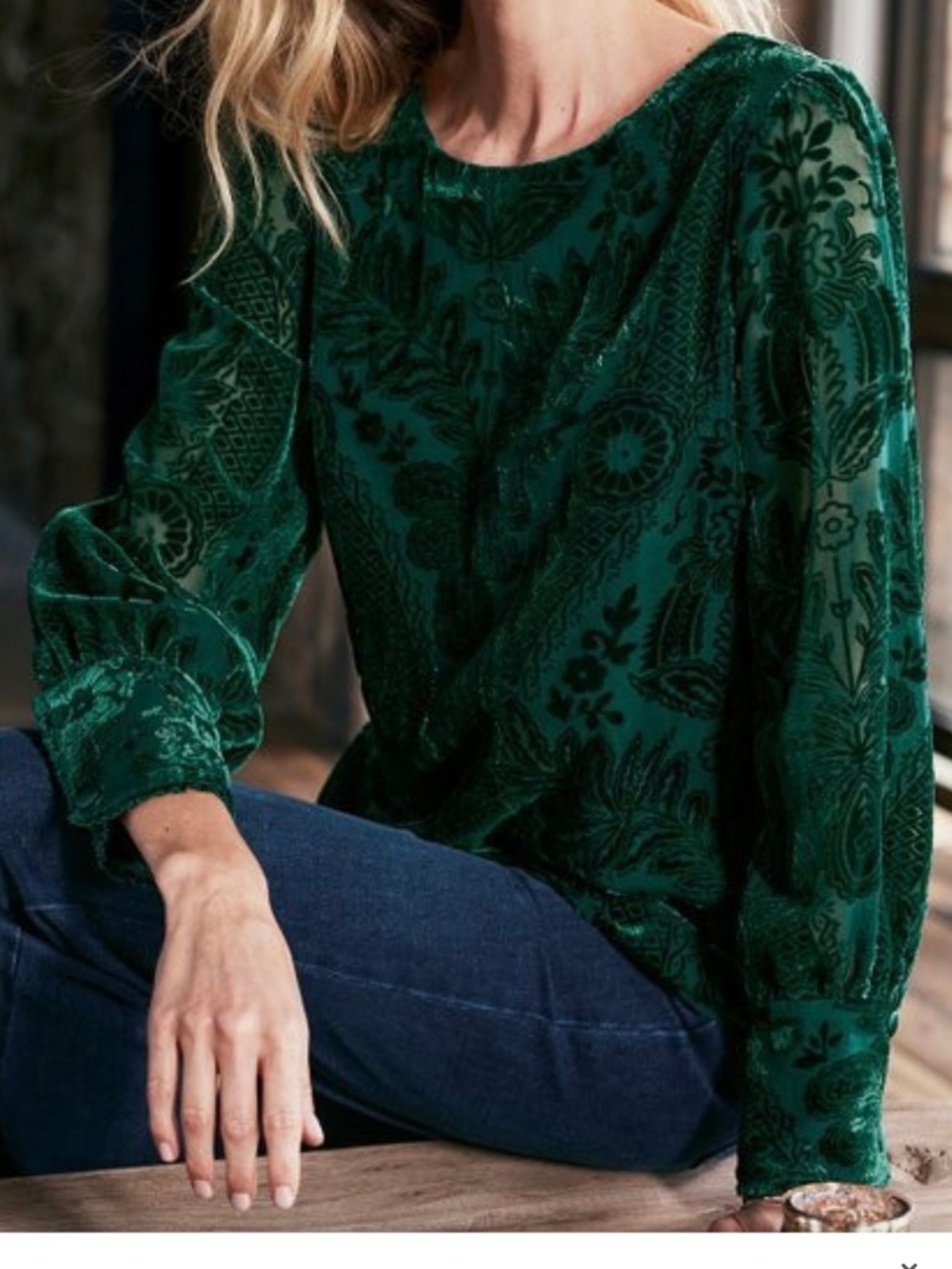 NEW Soft Surroundings Vanetta Blouse Top Green Velvet Floral Long Sleeve PM NWOT